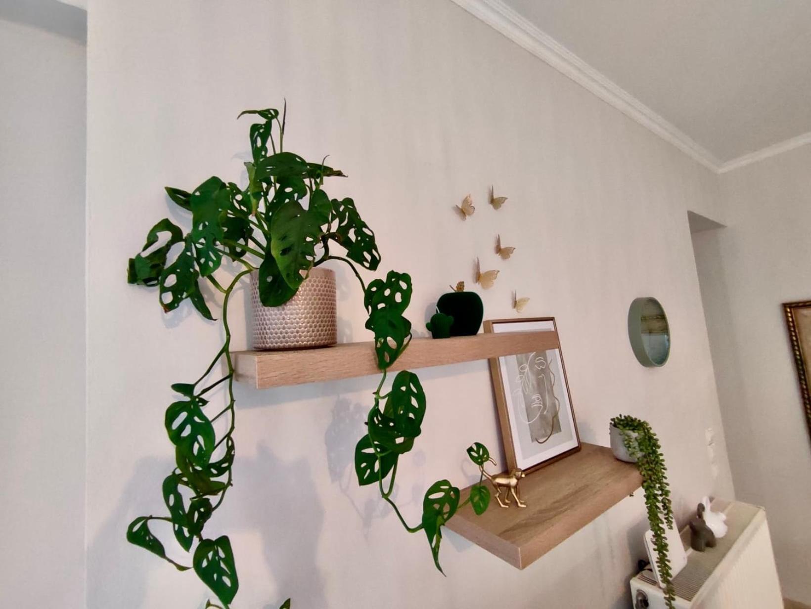 Tzitzifianaki Cozy Apartment La Canea Esterno foto